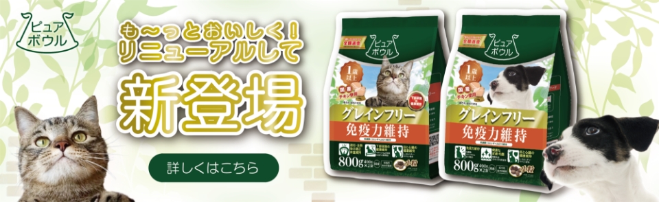 返金キャンペーン
