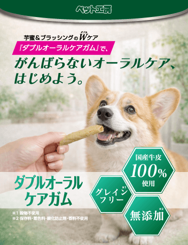 ダブルオーラルケアガム キービジュアル