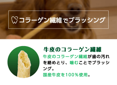 コラーゲン繊維でブラッシング