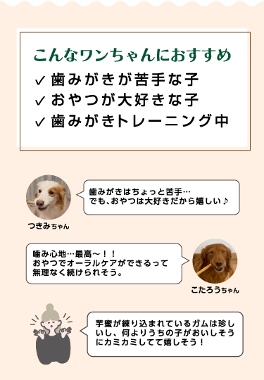 こんなワンちゃんにおすすめ