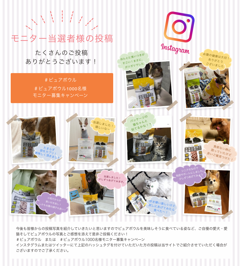 モニター当選者様の投稿 たくさんのご投稿ありがとうございます!