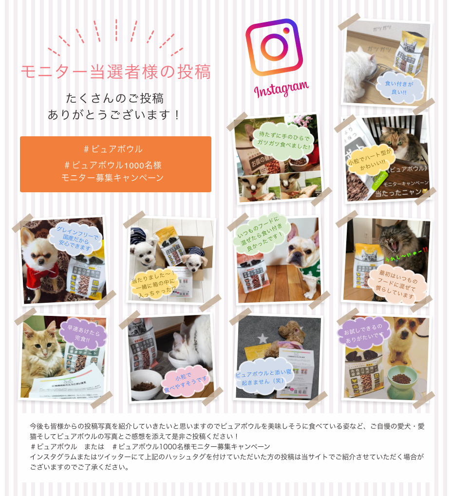 モニター当選者様の投稿 たくさんのご投稿ありがとうございます!