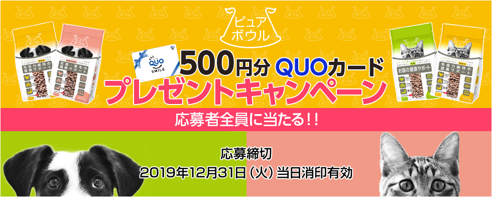 QUOカードプレゼントキャンペーン
