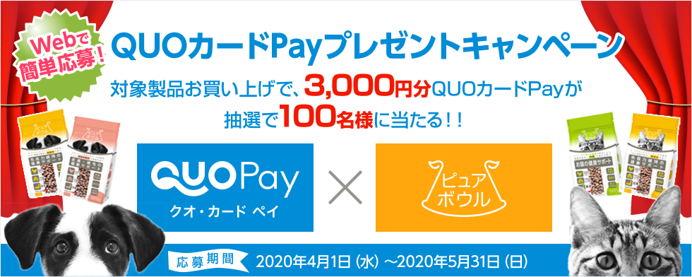 webで簡単応募 QUOカードPayプレゼントキャンペーン 対象製品をお買い上げで、QUOカードPay3,000円分を抽選で100名様に当たる!